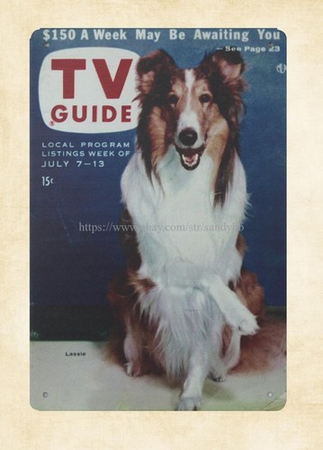 Magazines - wall decor 1950 magazine cover popular
