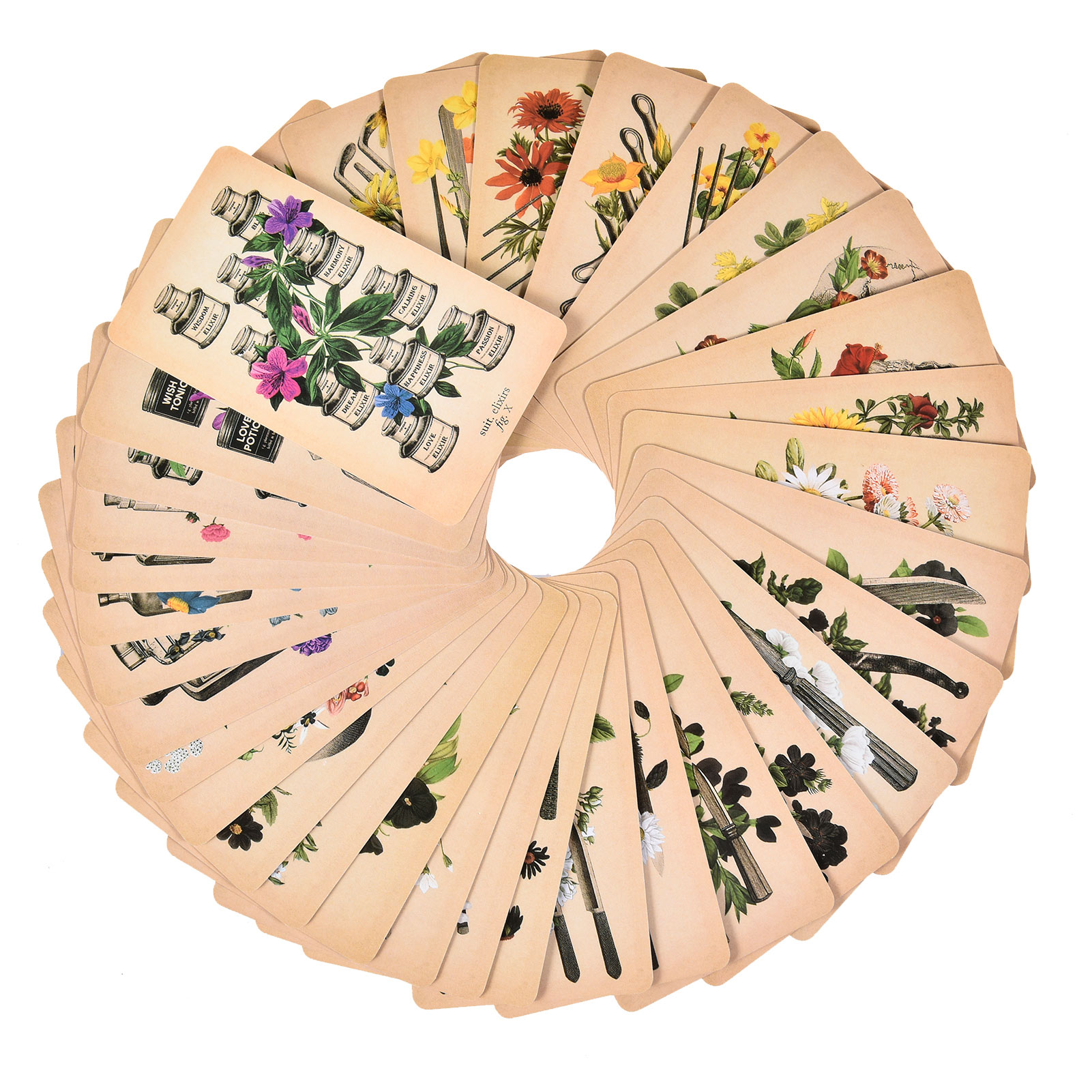 The Antique Anatomy Tarot Card - đánh giá và giá Tarot Deck With Guidebook